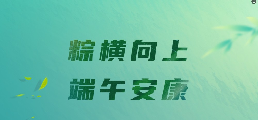 端午节丨粽横向上，端午安康